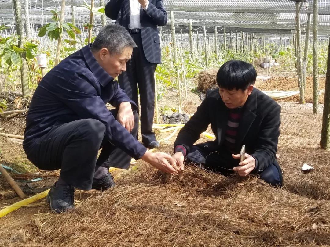 首页 - 菲律宾亚星国际官方网站