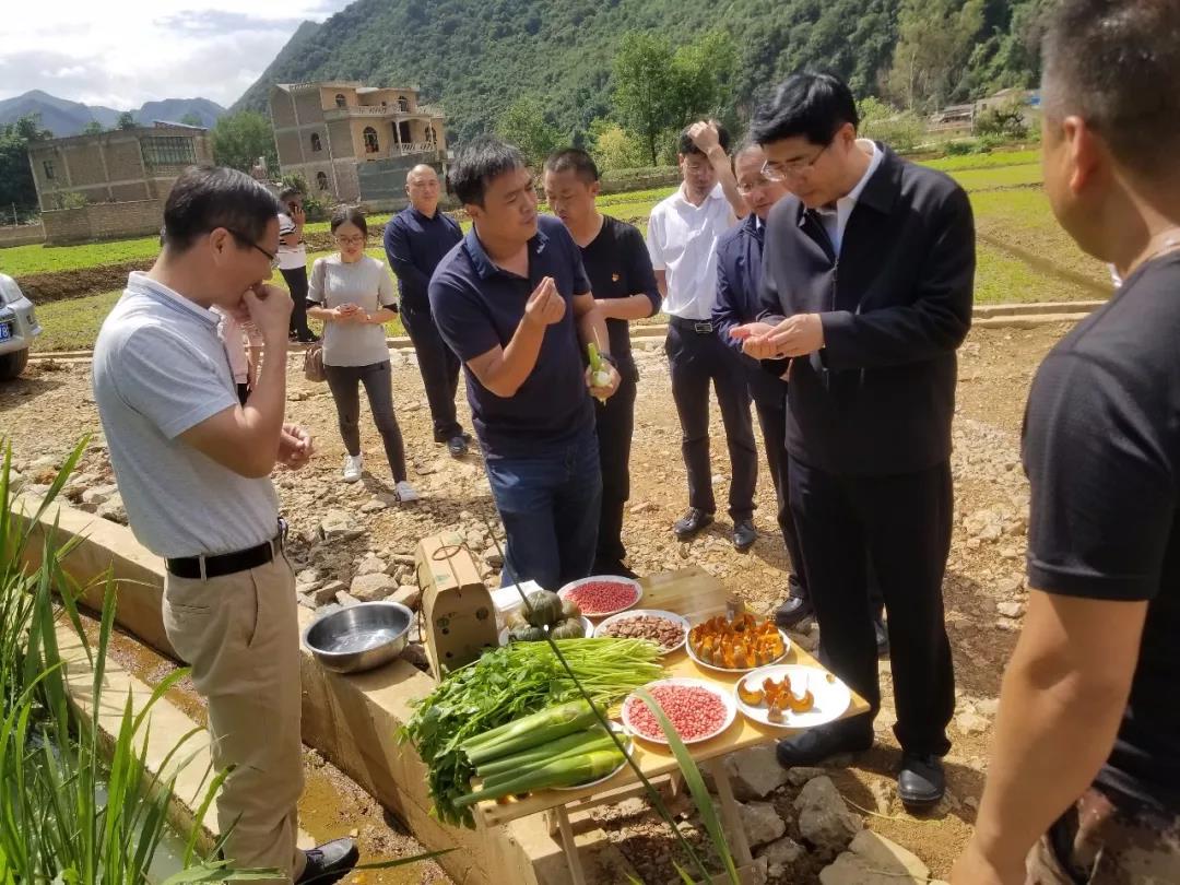 首页 - 菲律宾亚星国际官方网站
